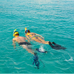 Skin Diver Course (snorkeling)